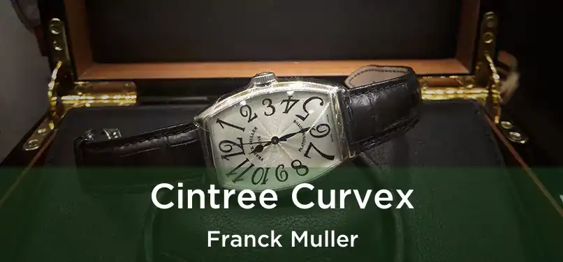  Cintree Curvex Franck Muller