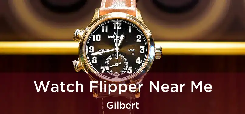  Watch Flipper Near Me Gilbert